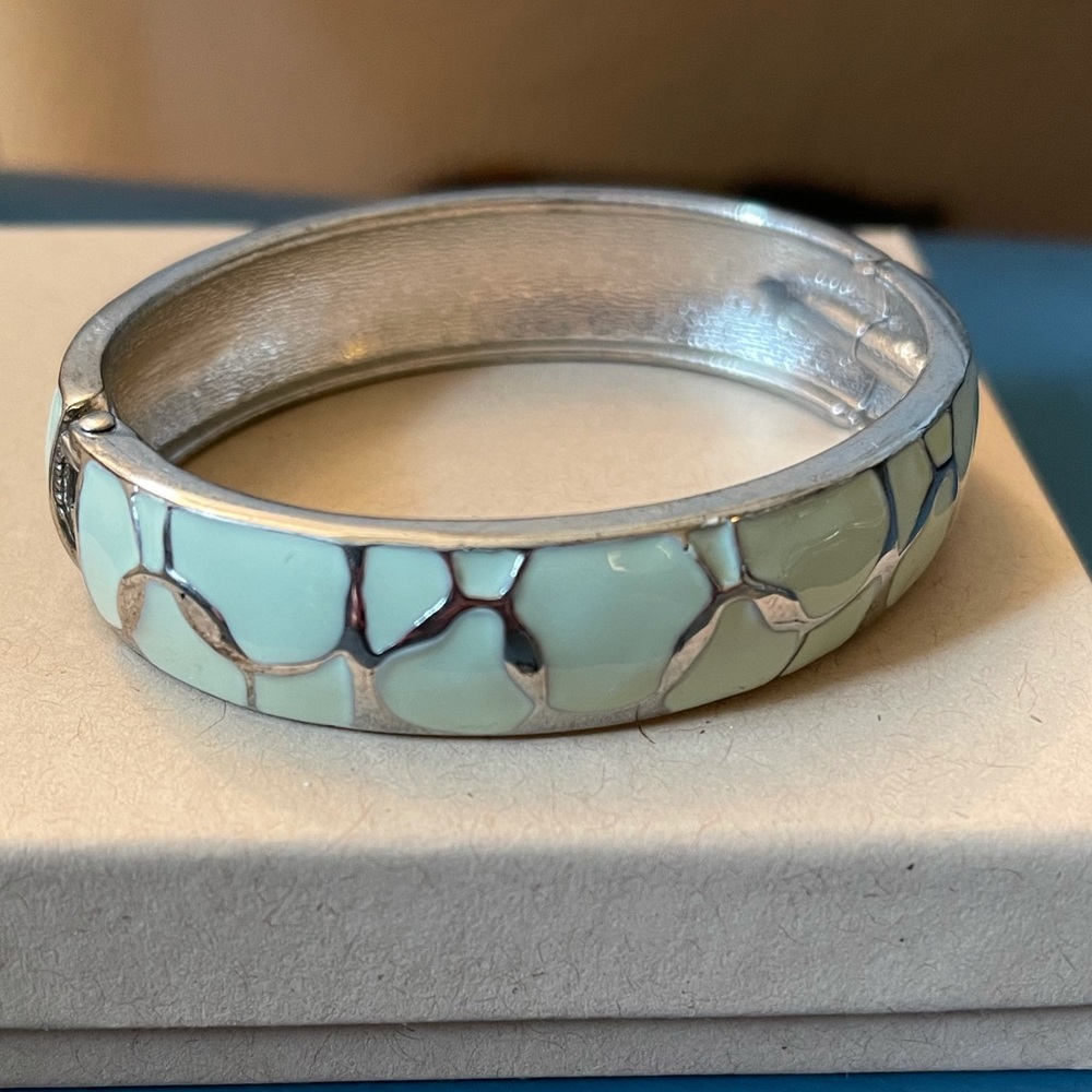 Blue Bangle